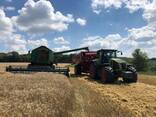 Послуги по посіву соняшника кукурудзи Horsch Maestro 24/70SW - фото 2