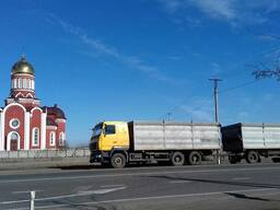 Послуги зерновозів