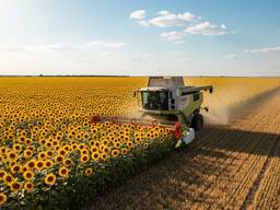 Послуги зі збирання соняшнику комбайном Claas Lexion 740 (Дніпро, Харків, Полтава)