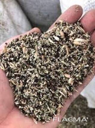 Постійно купуємо зерновідходи та некондиційну сільгосппродукцію