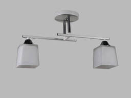 Потолочная декоративная люстра на 2 плафона Valeso(1996200/2)