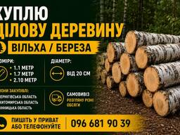 Потребую вільху / березу ділову 1.1м 1.7м 2.10м 2.7м 3.3м від 18діаметр