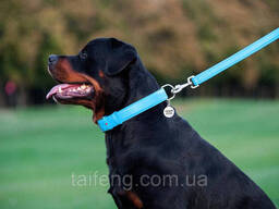 Поводок для собак кожаный Waudog Glamour Ш 25 мм Дл 122 см Голубой