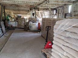 ПП «Карпати»