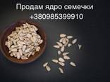 Предлагаем к поставкам ядро кондитерского подсолнечника. - фото 1