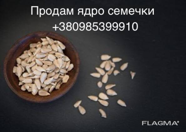 Предлагаем к поставкам ядро кондитерского подсолнечника.