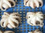 Предлагаем мороженные морепродукты в Украину от завода из Китая - фото 6