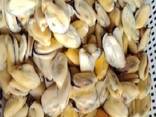Предлагаем мороженные морепродукты в Украину от завода из Китая - фото 9
