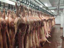 Предприятие реализует полутуши свиные