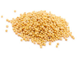 Предприятие закупает горчицу