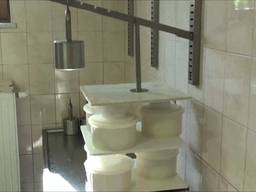 Пресс для сыра