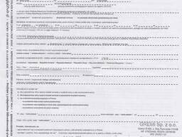 Приглашение на польскую рабочую визу (6 мес. )