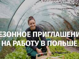 Сезонное приглашение в Польшу засвядчение на 9 месяцев?