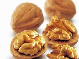 Принимаем заказы на урожай грецкого ореха 2022 г