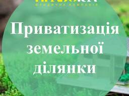 Приватизация земельного участка, кадастровый номер