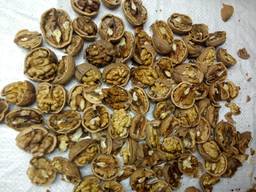 Продаем грецкий орех целый на бой