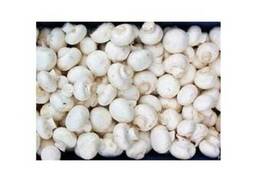 Продаем грибы шампиньоны свежие чистые белые.