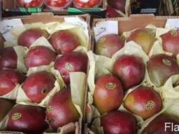 Продаем манго оптом, мелким оптом