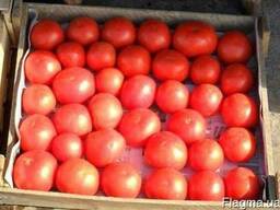 Продаем помидоры оптом, мелким оптом