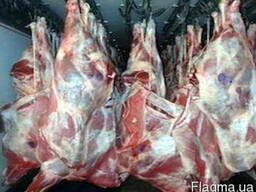 Продаем свежую свинину, говядину, баранину в тушах, Киев