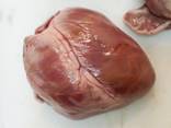 Продаем свиное сердце заморозка - фото 1