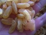 Продаємо сухофрукти і горіхи. - фото 3