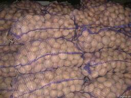 Продается картофель оптом от производителя
