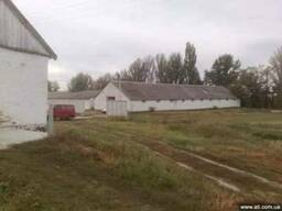 Продается комплекс зерносклад , склад, ферма Черкаск обл