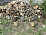 Продаємо дрова дуб/ясен - фото 1