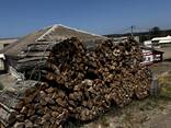Продаємо дрова твердих порід - фото 2