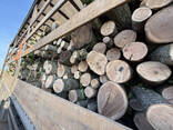 Продаємо дрова твердих порід - фото 5