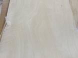 Продаємо шпон буковий 630*500*1,2 сорт ABC - фото 1
