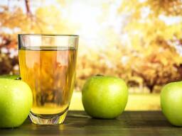 ПРОДАЄТЬСЯ яблуччний сад (Західна Україна) Чернівецька обл.