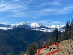 Продається мальовнича земельна ділянка площею 25 соток у селі Бистрець (Карпати) без посер