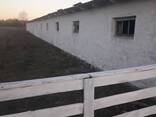 Продається вівчарник з фермою та землею (5,5 Га, приватна власність) - фото 3