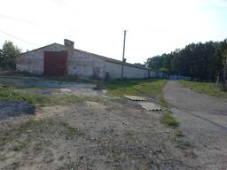 Продається діючий елеваторний комплекс з залізничною гілкою.