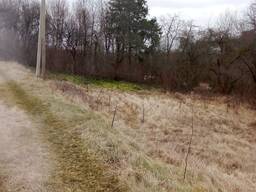 Продається ялинка