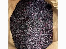 Продаю Бузину Заморожену Оптом, Урожай 2025