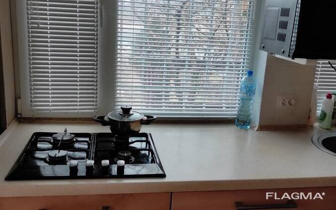 Продам 2 будинки на березі річки, Новоолександрівка, с. т Сонячний -1