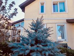 Продам 2 єт. дом 165 кв. м. в с. Осещина,6 соток земли