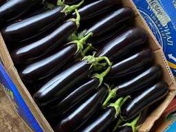Продам баклажан оптом з поля