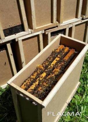 Продам бджолопакети Карпатка, хорошої якості.