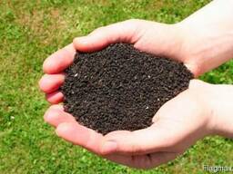 Продам биогумус