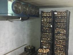Продам бизнес - выращивание грибов