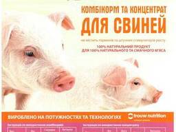 Продам БВМД для поросят свиней ТМ Калинка