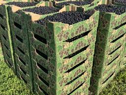 Продам смородину черную и красную