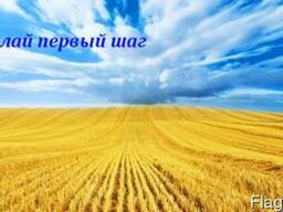 Продам действующие Агропредприятия 5000га Кировоград