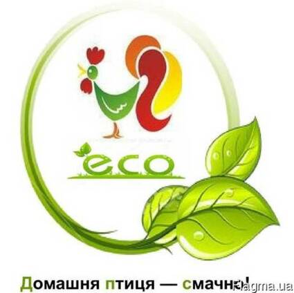 Продам домашних кур