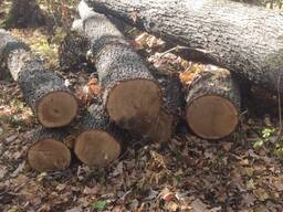 Продам дошка дуб, ясен, вільха також кругляк усіх сортів