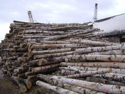 Продам дрова береза 2м